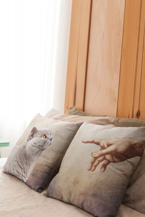 Komplet poduszek Michelangelo British Cat