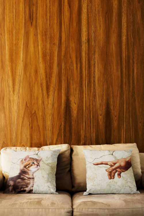 Komplet poduszek Michelangelo Small Cat