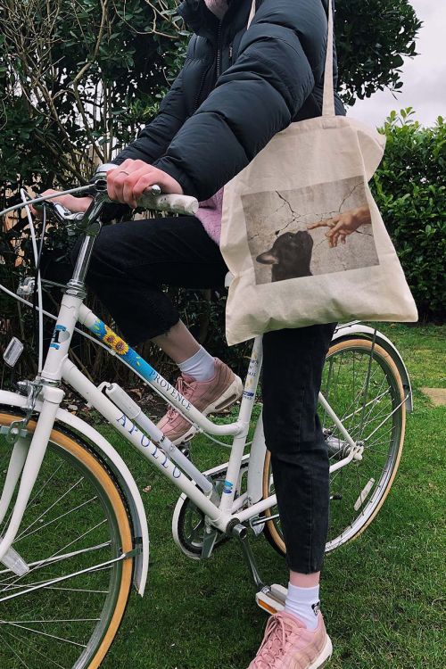 Torba eko Michelangelo French Bulldog