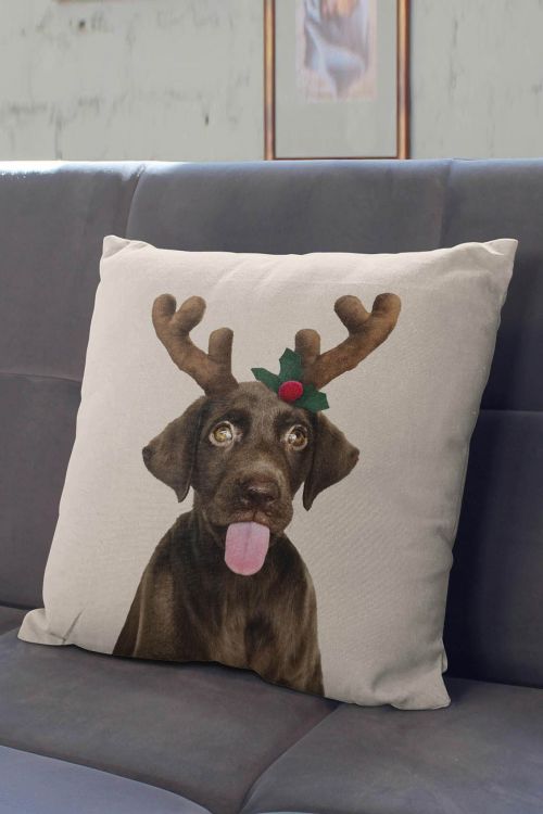Poduszka Labrador Reindeer