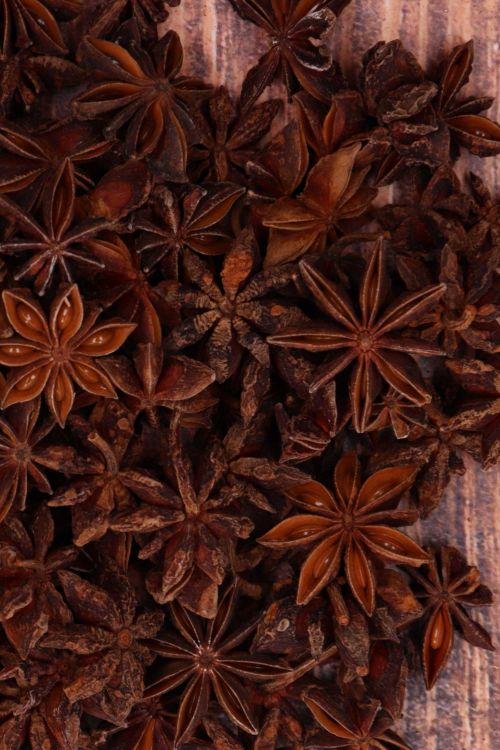 Pachnący Anyż susz gwieździsty 100g