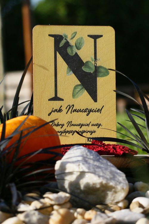 Statuetka N jak Nauczyciel PERSONALIZACJA