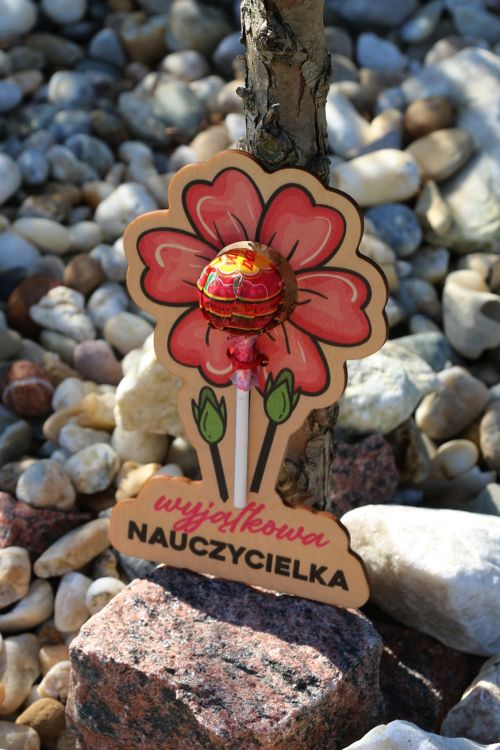 Kwiatek na Lizaka Wyjątkowa Nauczycielka